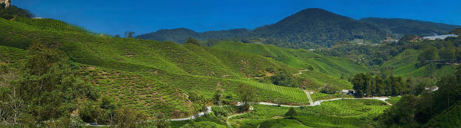 Feriendialyse Sri Petaling